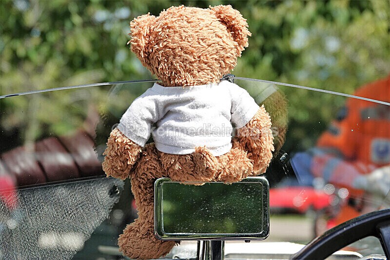 Pete Wilson 2-8-20-261 - Aug 2nd 2020 Drive thru