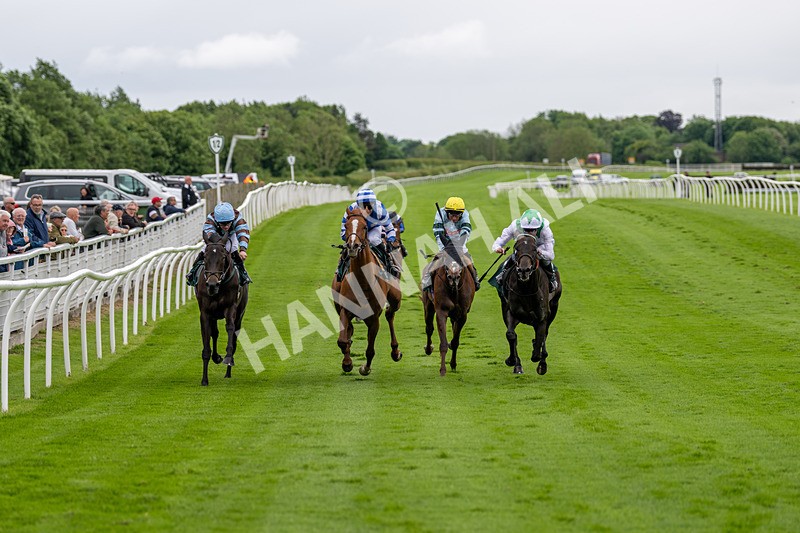 230524-Race 3-See The Green-1570 - Race 3