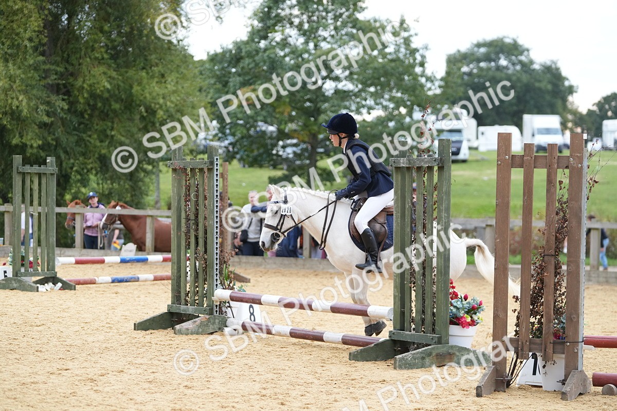 SBM_74847 - J4 - Mini Tour Junior Pony 45cm Championship