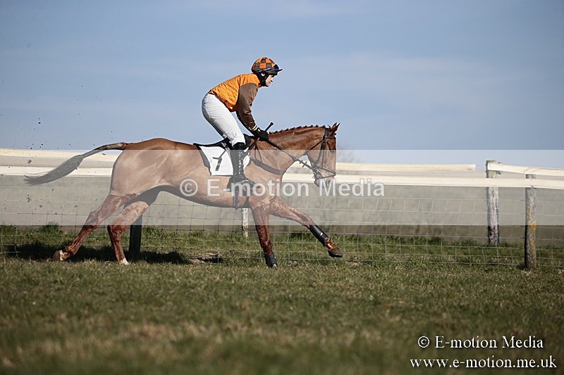 PtP 240218 475 - Vine & Craven Hunt Point-to-Point Barbury racecourse 24/02/18