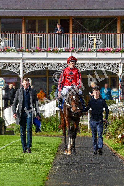 141023-Race 4-Colorada Dancer-1234 - Race 4 3.05pm Coral Racing Club EBF Maiden Stakes