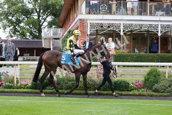 yr22072022r2-9 - Race 2 5.50pm eventmasters.co.uk Stakes