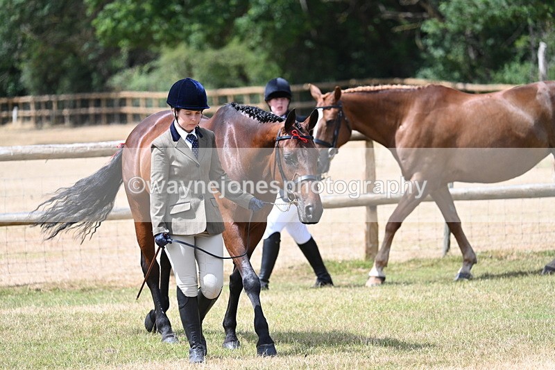 WJ7_1785 - Class 4a Prettiest Mare 14.2hh and over hand