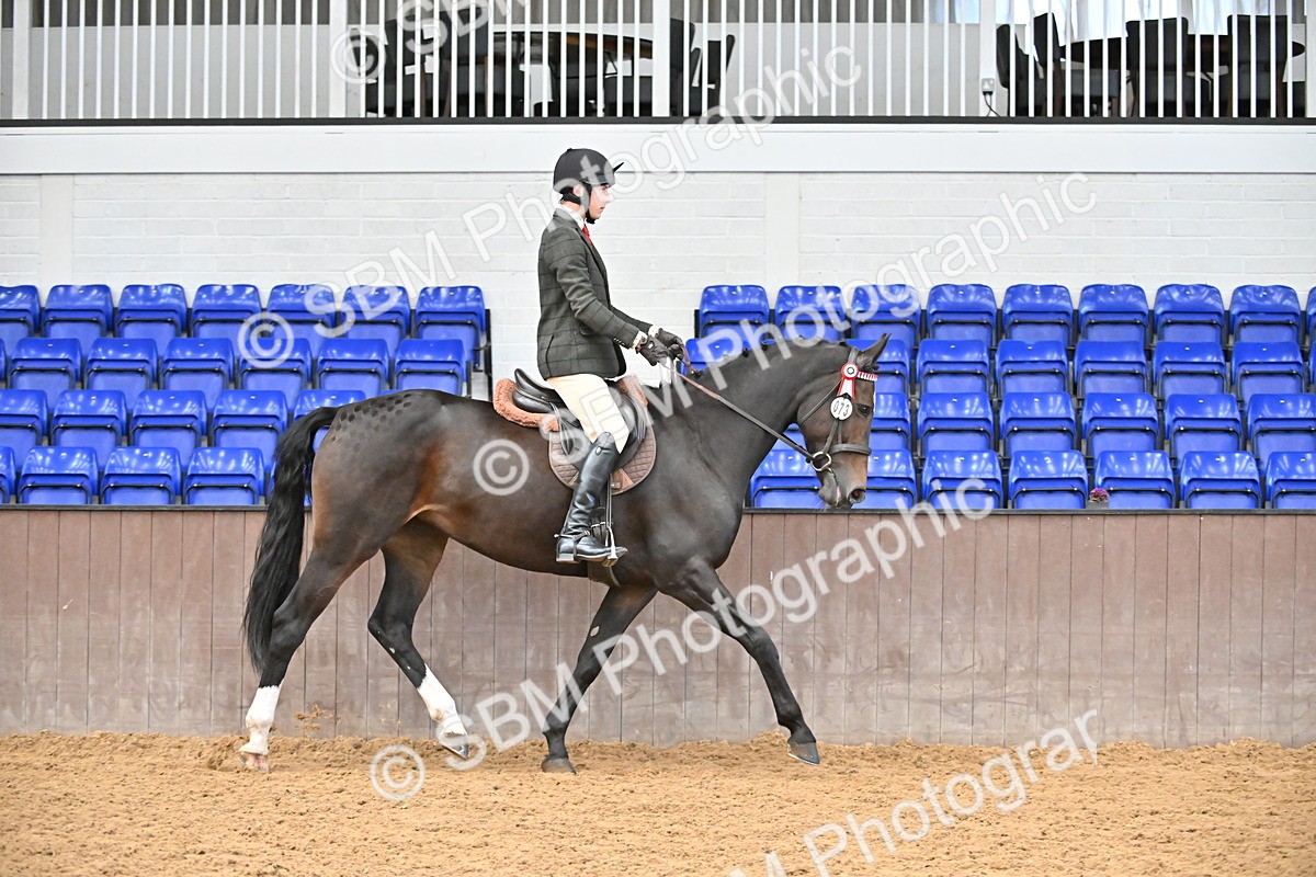 SBM_001442 - Class 19,20 - Ridden Native, Foreign Breeds & Warmbloods