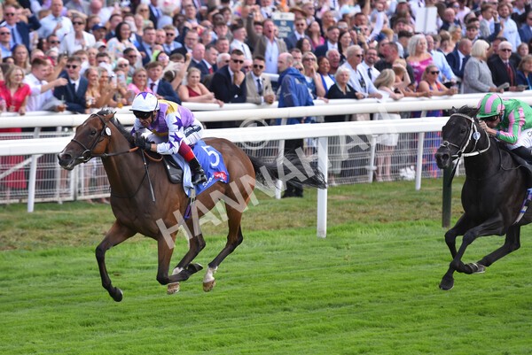 yr20082022r3-21 - Race 3 3.00pm Sky Bet City of York Stakes