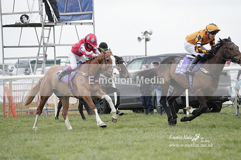 PtP 050323 167 - Blackmore & Sparkford Vale Hunt PtP - Somerset 05/03/23