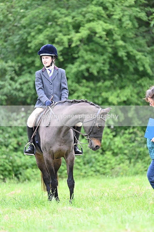 WJ7_4416 - Class 14B Prettiest Mare