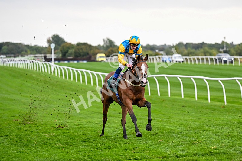 011025-Race 7-Lightning Tiger-0807 - Race 7