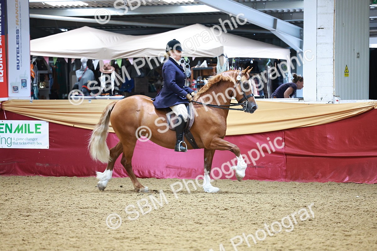 SBM_18621 - Class 952 - M&M Ridden Supreme Final