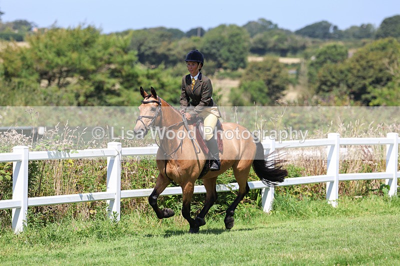 3E7A9002 - Class 6: Open Working Horse