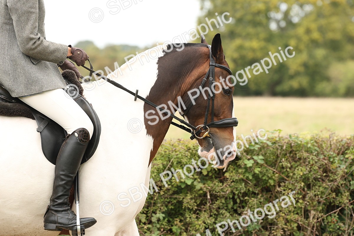 SBM_67207 - S67 - Piebald & Skewbald Horse Ridden