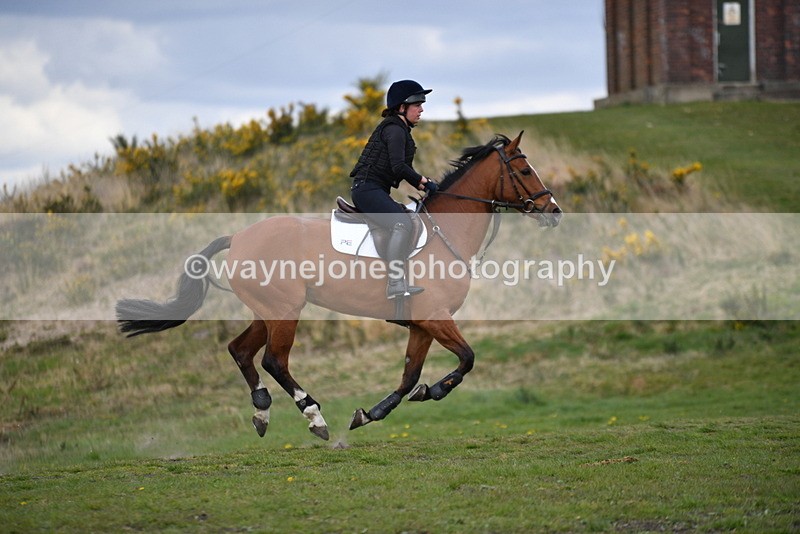 WJ5_3943 - Time 14:58 to 15:16