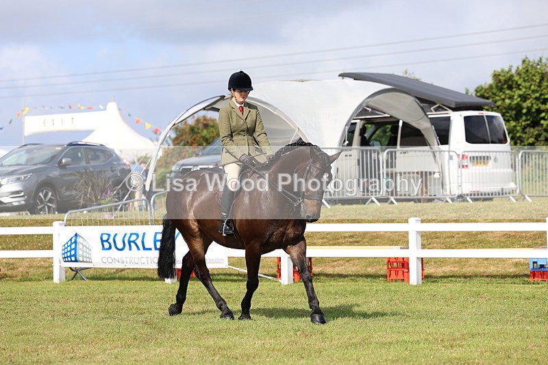 3E7A8879 - Class 3: Rising Star S/L Hunter