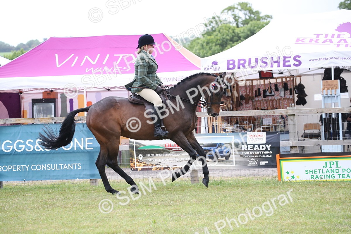 SBM_11436 - Class 94 - LIHS BSHA Racehorse to Showhorse