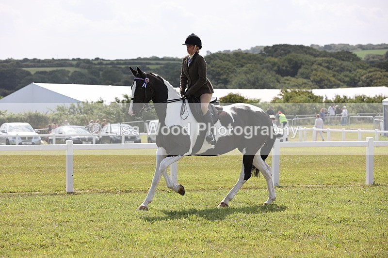 JPP_1401 - Class 17: Cornish Combination Open