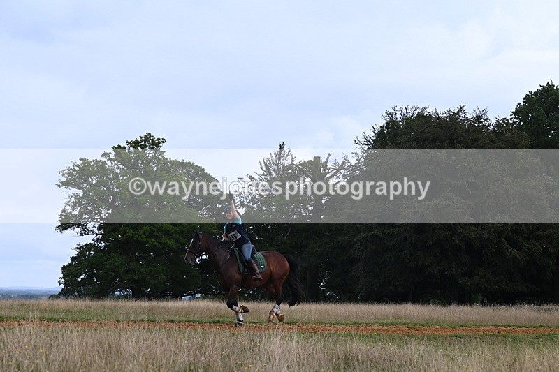 DSC_8232 - Time at Statue 13:52 to 14:33