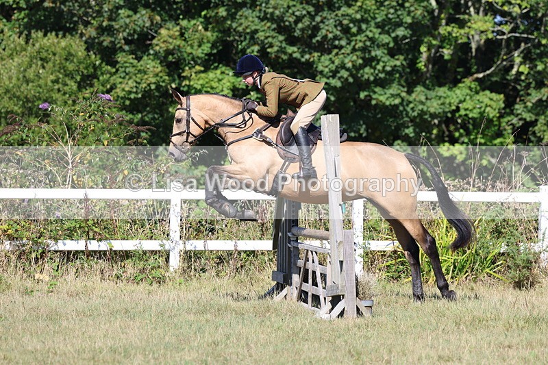 3E7A5790 - Class 5: Working Hunter 90cm
