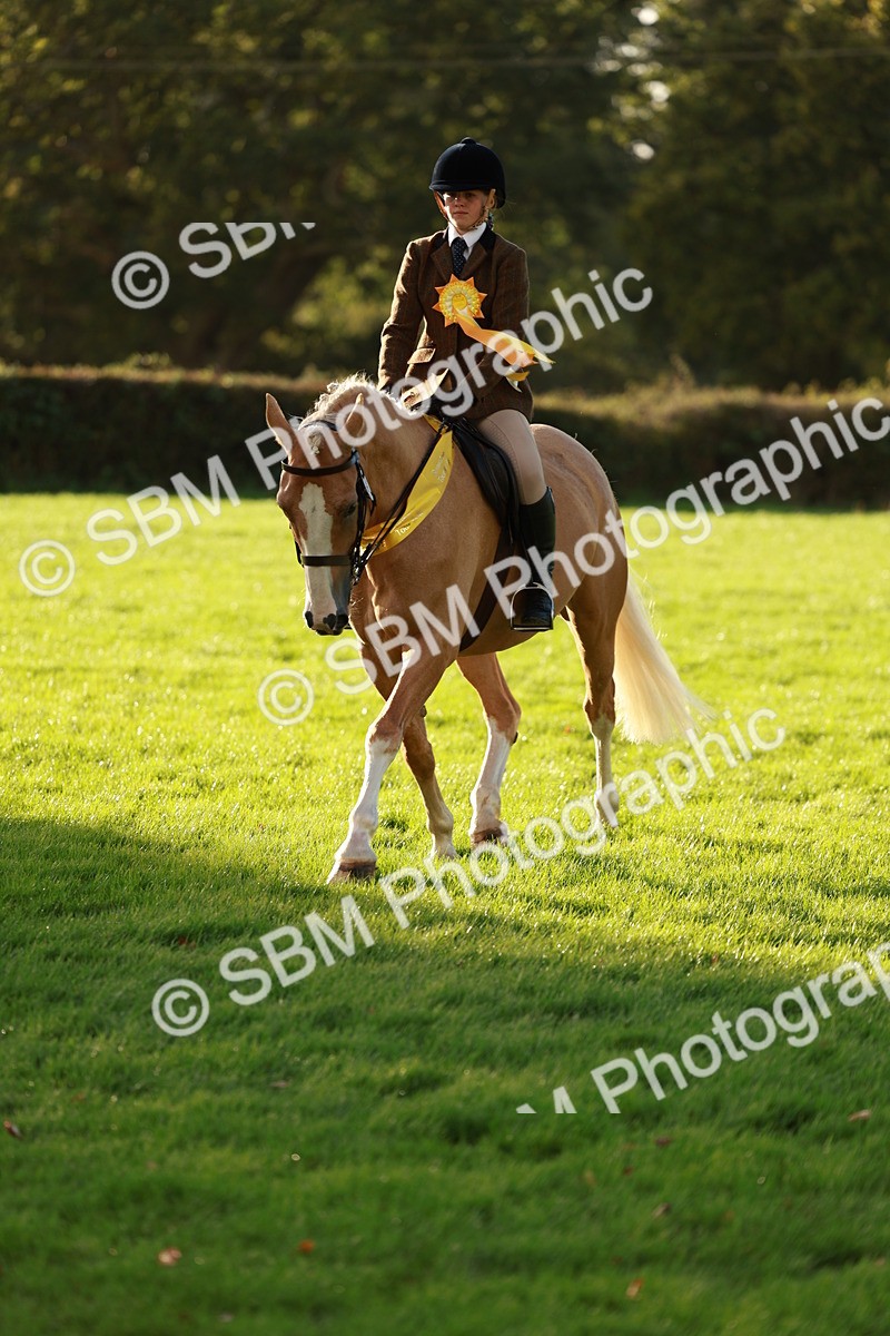 SBM_29296 - Novice & newcomer Supreme Championship