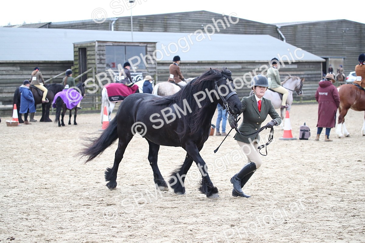 SBM_007254 - Class 10-13 - RIHS Small Large Breeds
