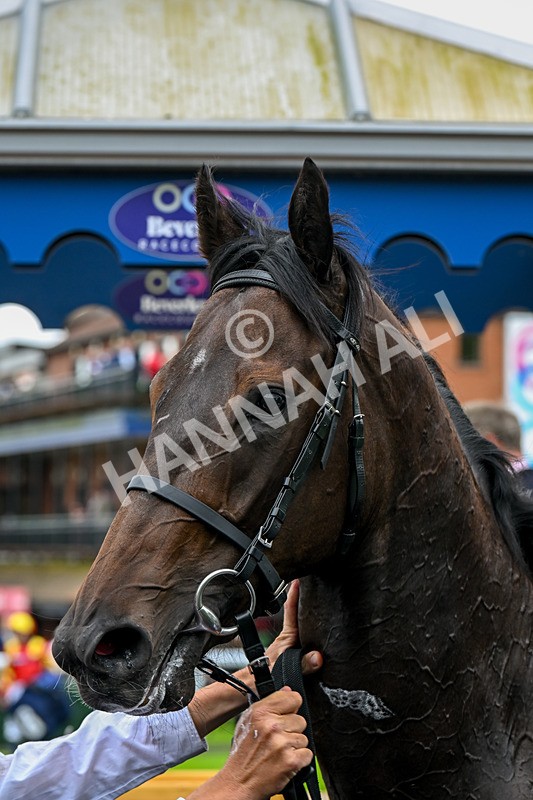 160724-Race 1-Coto De Caza-8295 - Race 1
