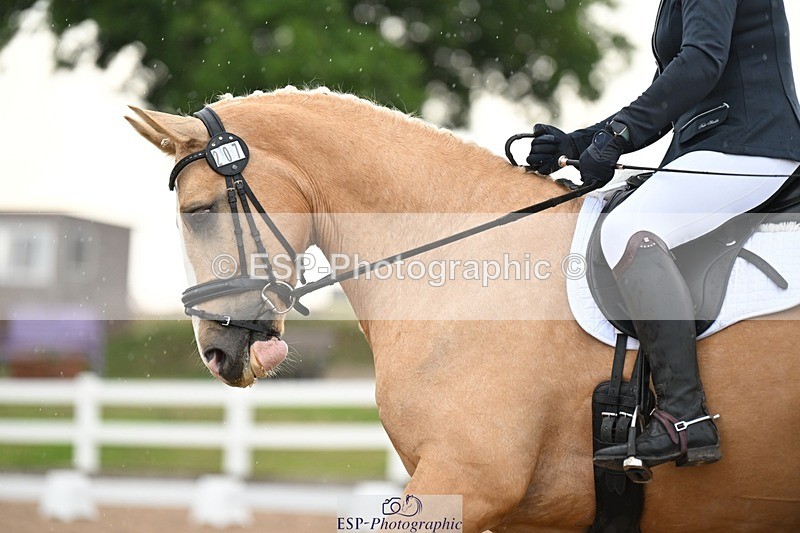 250620-092124-02415 - BD Cls 1 - Preliminary 5, 9.20am to End