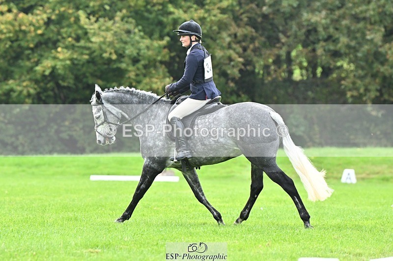 241024-115504-02555 - 320-Alice.Tollworthy-OUR.DOLPHIN.STAR