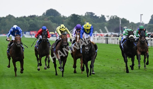 230825-065 Never So Brave - Race 3 3.00pm Sky Bet City Of York Stakes