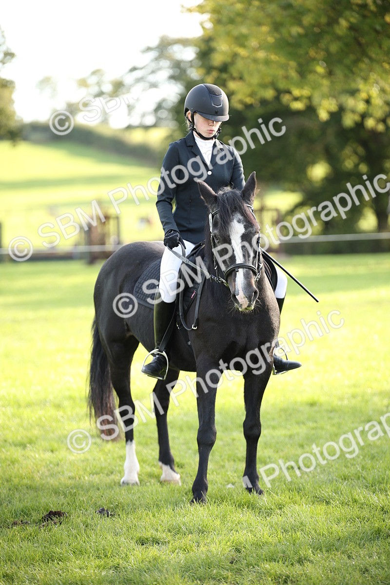 SBM_54315 - S27 - Mature Veteran - Ridden