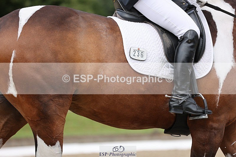 240721-114029-08400 - 236-Lorraine_Morris-Lissyegan_coloured_lady