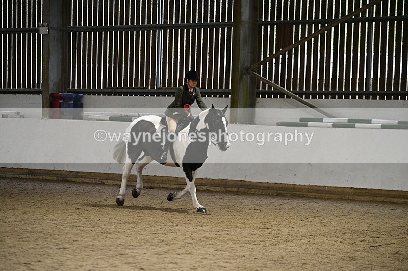 WJ7_3731 - Class 16 Ridden Coloured/ Odd Coloured