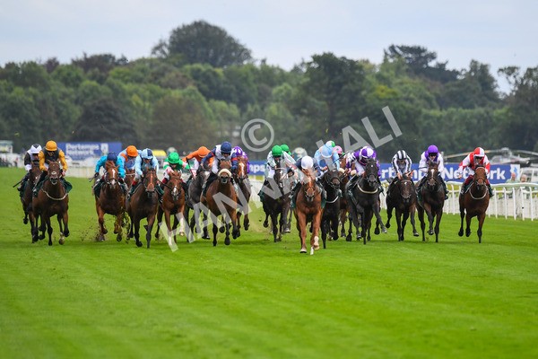 240823-Race 2-Dragon Leader-0180 - Race 2 2.25pm Goffs UK Harry Beeby Premier Yearling Stakes