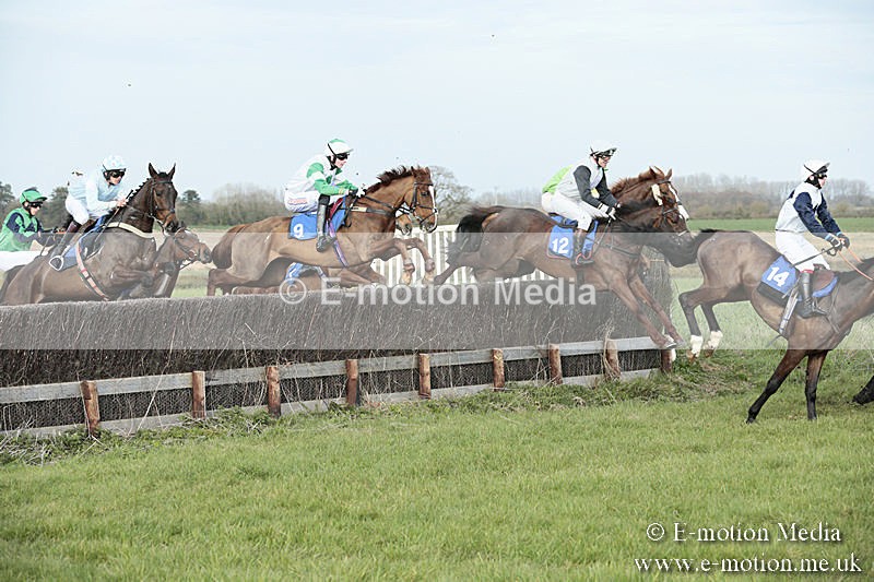 PtP 230319 429 - VWH Hunt Siddington Point-to-Point Racing 23/03/19