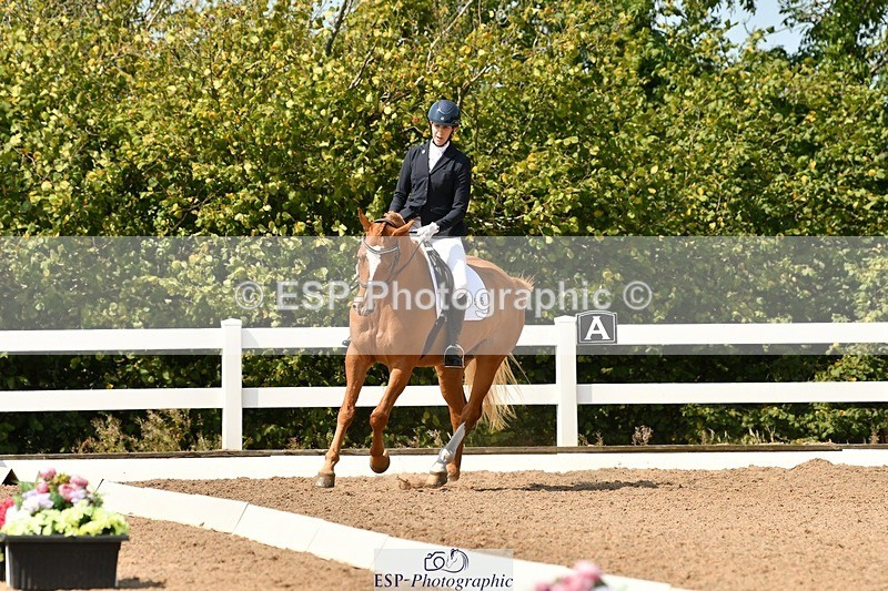 250817-123911-09661 - 155-Tamsin.OConnorRiversides.Caballero