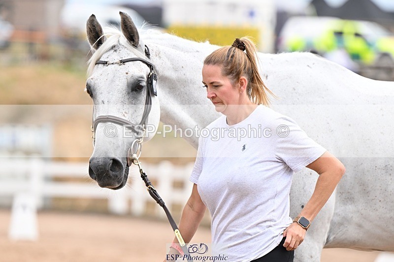 250716-152304-01901 - Trot Up 2.30 to 3.30