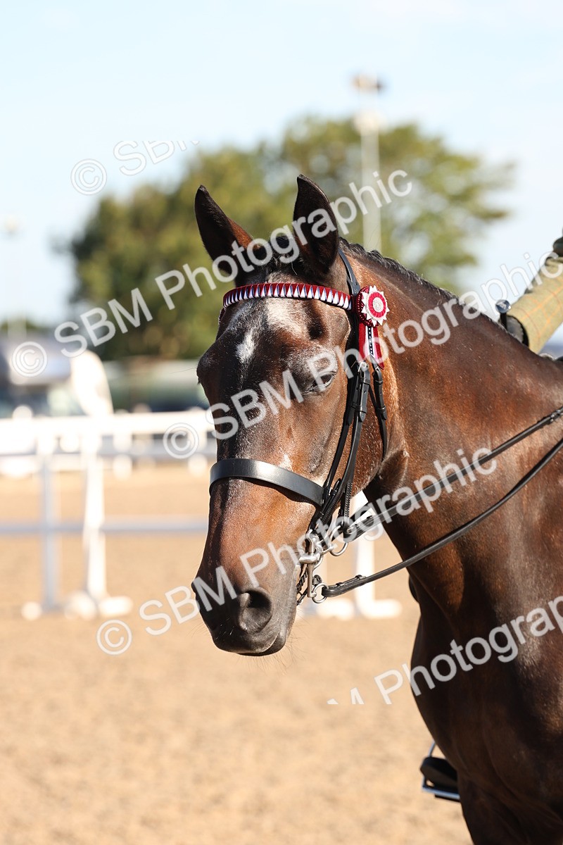 SBM_10863 - Class 202 - Best Turned Out - Ridden