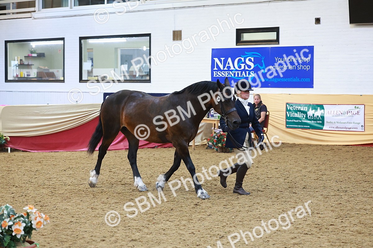 SBM_17843 - Class 952 - M&M Ridden Supreme Final