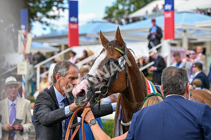 220826-Race 4-Daiquiri Bay-0902 - Race 4 15.35pm Sky Bet Ebor Handicap