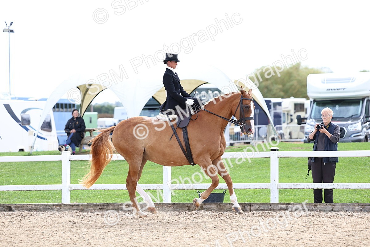 SBM_03308 - Class 23 - SSA Classical (any age)