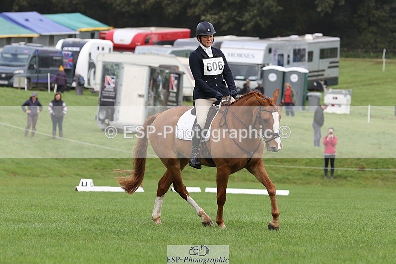 231019-104503-02422 - 606-GOLDEN.HEART.BREAKER-Emily.R.Vincent-DR