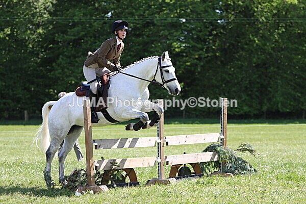IMG_4515 - Working Hunter