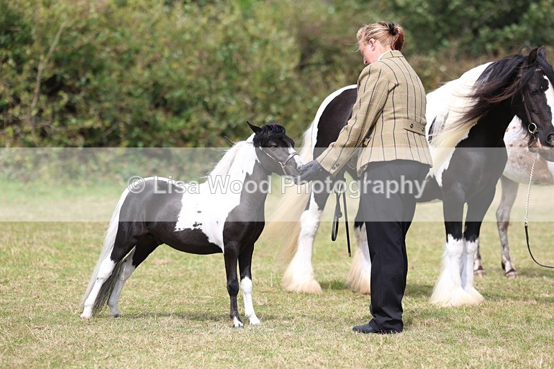 3E7A5426 - Class 19: Best Coloured in Hand