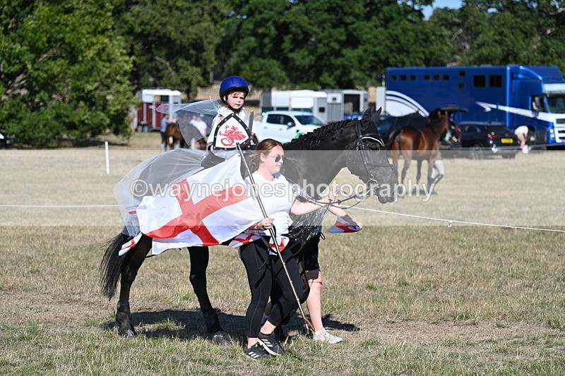 WJ7_2816 - Class 45 Fancy Dress (My Fav)