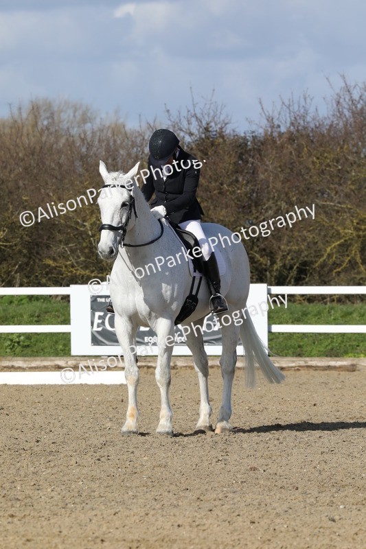 20260314-4909 - CT6 - Elementary 1