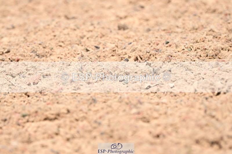 240621A-134929-04171 - Cls 8 BD Elementary 53