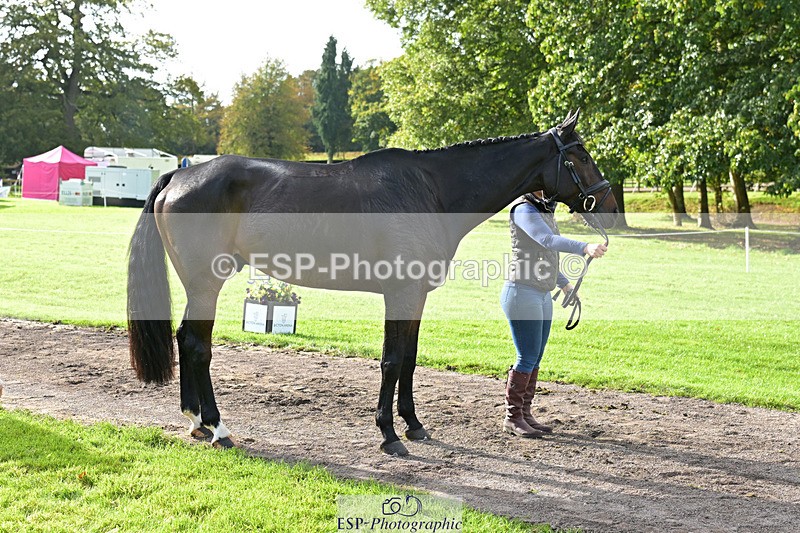 241023-132846-00315 - 051-Tommy.Greengard-BALLADEER.KILBRICKENS.LAD