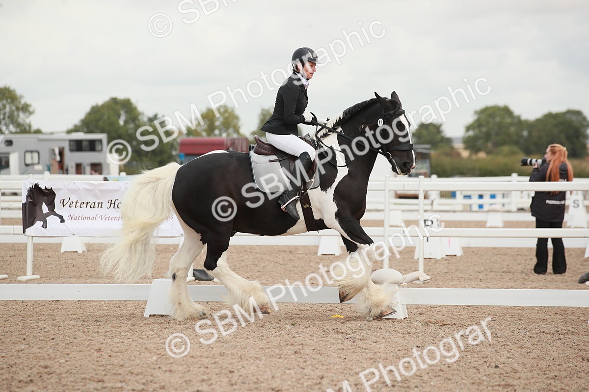 SBM_03831 - Class 31 - Prelim 1