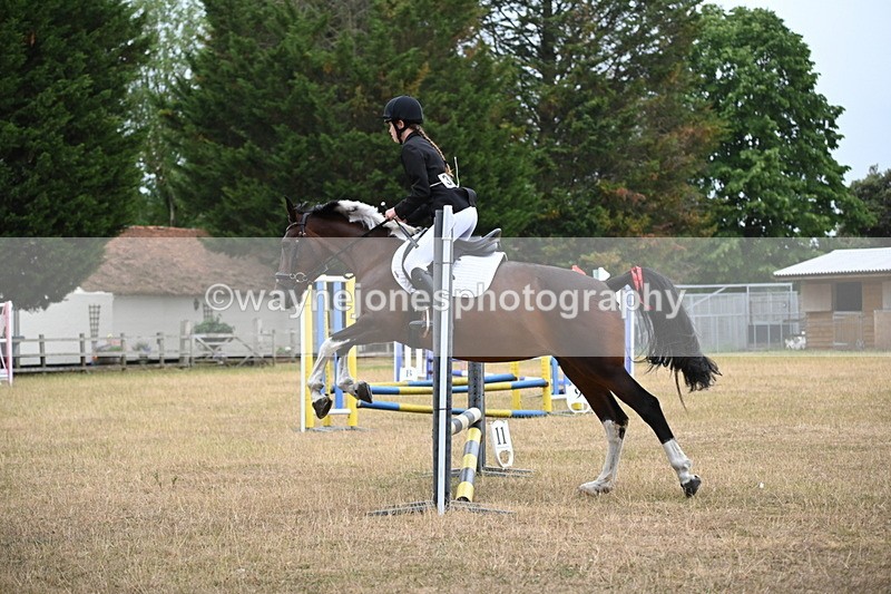 WJ6_0056 - Class 13 Novice Jumping 60cm