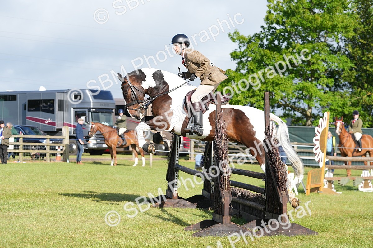 SBM_10533 - Class 97-98 - LIHS BSHA Rising Star Working Show Horse Hunter