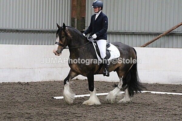 SIAL4151 - CAbin Dressage 5th july 2025