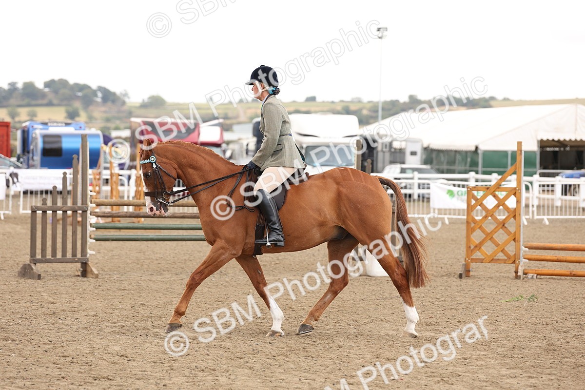 SBM_02924 - Class 53 - Ridden Competition Horse/Pony